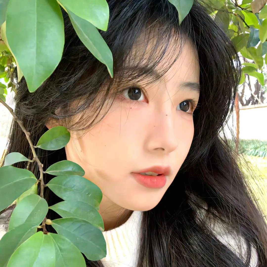 谎言风暴 在线观看